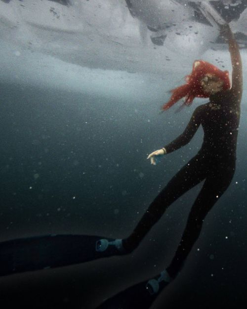 freeze-divers-thumbnail