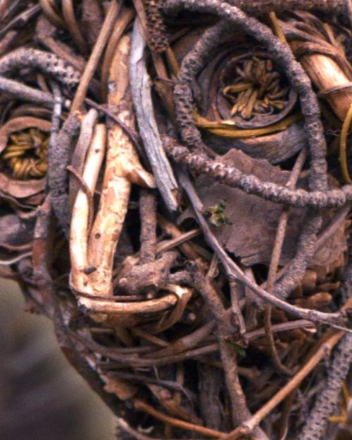 twig-thumbnail